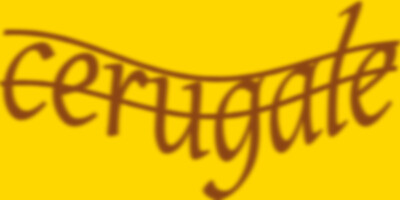 immagine del codice di sicurezza